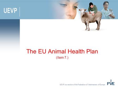 UEVP is a section of the Federation of Veterinarians of Europe The EU Animal Health Plan (Item 7.)