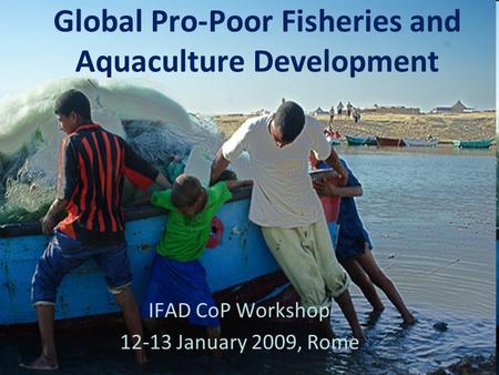 Partnership  excellence  growth Global Pro-Poor Fisheries and Aquaculture Development IFAD CoP Workshop 12-13 January 2009, Rome.