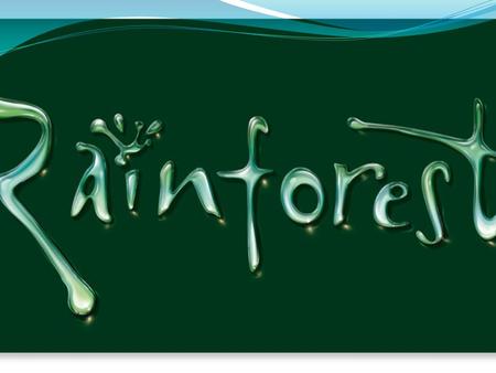 rainforest A rainforest is often referred to as a jungle, which is a Hindi word from India meaning a wilderness. A true jungle is a thick tangle of vegetation,