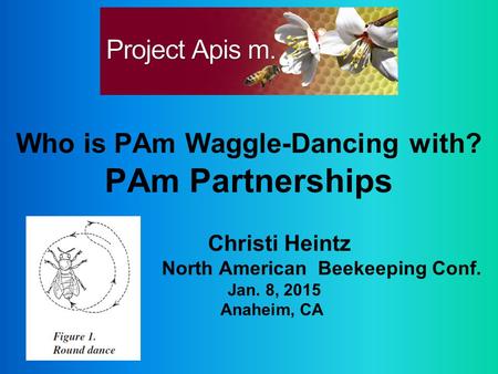 Who is PAm Waggle-Dancing with? PAm Partnerships Christi Heintz North American Beekeeping Conf. Jan. 8, 2015 Anaheim, CA.