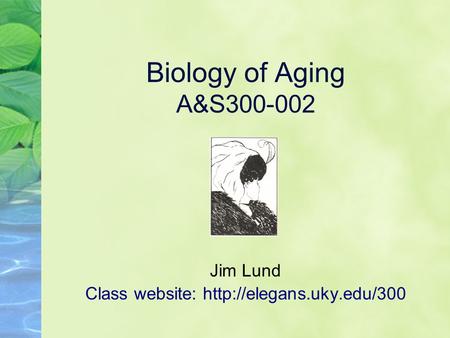 Biology of Aging A&S300-002 Jim Lund Class website: