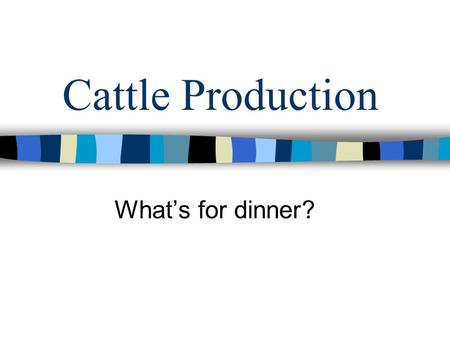 Cattle Production What’s for dinner?. Fun Facts 7.1 Billion beef servings in restaurants. –10 % increase since 1990 5.5 Billion burgers sold in restaurants.