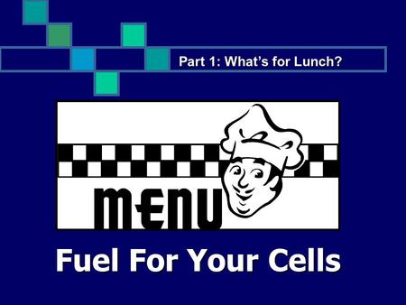 Fuel For Your Cells Part 1: What’s for Lunch?. Objectives: Students Will: Understand how the digestive system works. Understand how the digestive system.