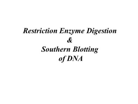 Restriction Enzyme Digestion & Southern Blotting of DNA