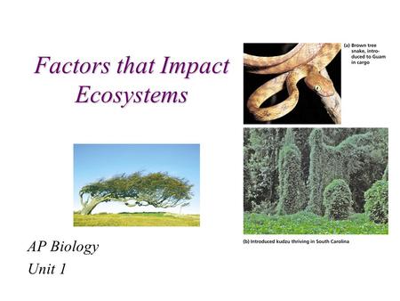 Factors that Impact Ecosystems AP Biology Unit 1.