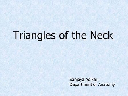 Triangles of the Neck Sanjaya Adikari Department of Anatomy.