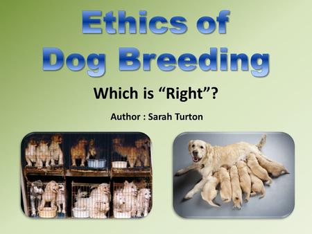 Which is “Right”? Author : Sarah Turton. To explore the issues surrounding an ethical topic, such as dog breeding. To discuss the issues around different.
