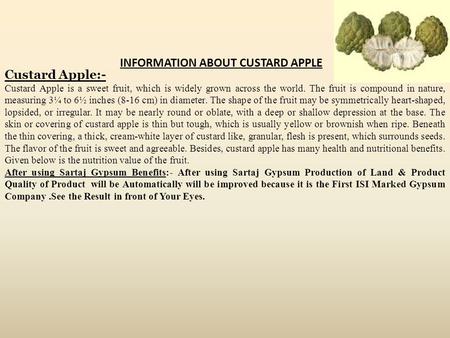 Custard Apple:- Custard Apple is a sweet fruit, which is widely grown across the world. The fruit is compound in nature, measuring 3¼ to 6½ inches (8-16.