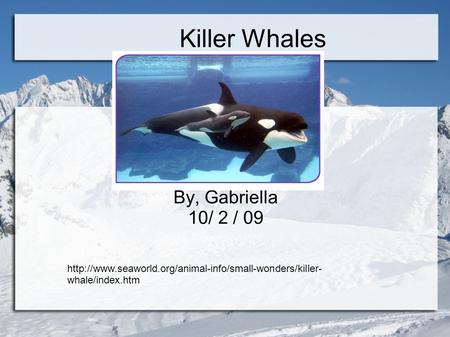 Killer Whales By, Gabriella 10/ 2 / 09  whale/index.htm.