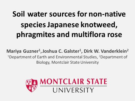 Soil water sources for non-native species Japanese knotweed, phragmites and multiflora rose Mariya Guzner 1, Joshua C. Galster 1, Dirk W. Vanderklein 2.