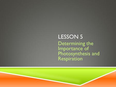 Determining the Importance of Photosynthesis and Respiration