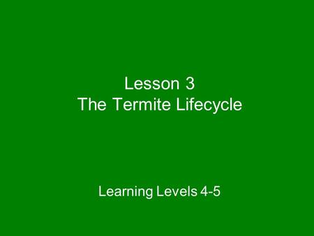 Lesson 3 The Termite Lifecycle