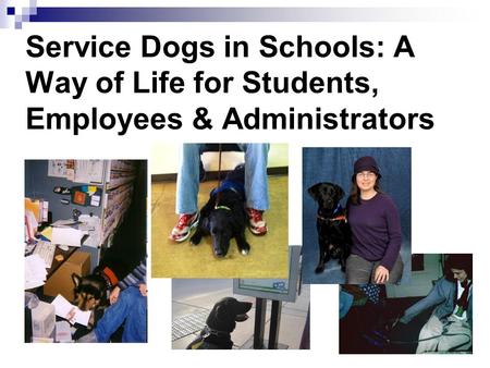 Service Dogs in Schools: A Way of Life for Students, Employees & Administrators.