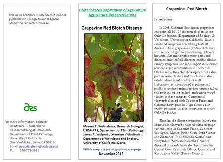 Grapevine Red Blotch Disease This news brochure is intended to provide guidelines to recognize and diagnose Grapevine red blotch disease. For more information,