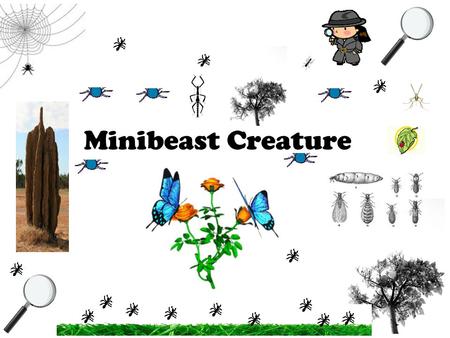 Minibeast Creature.