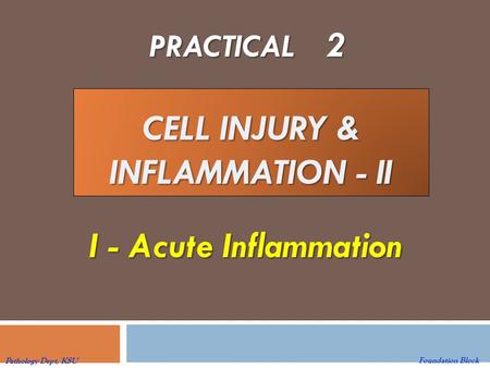 CELL INJURY & INFLAMMATION - II PRACTICAL 2 I - Acute Inflammation I - Acute Inflammation Foundation Block Pathology Dept, KSU.