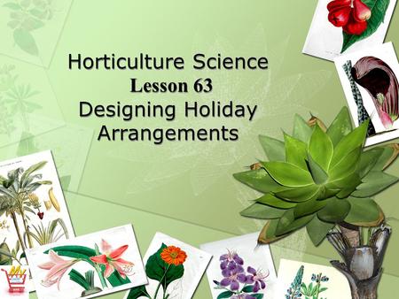Horticulture Science Lesson 63 Designing Holiday Arrangements.