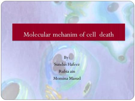 Molecular mehanim of cell death By: Sundus Hafeez Rubia ain Momina Masud.