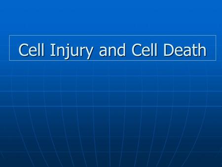 Cell Injury and Cell Death. Adapted Cell + Stress Injury Normal cell Reversibly injured cell Irreversibly Injured cell Dead cell +Stress Apoptosis Necrosis.