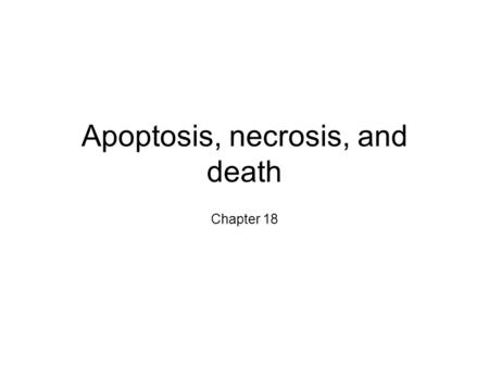 Apoptosis, necrosis, and death Chapter 18. Continuity of life Only from existing cells come new cells. We are all decedents of the first cells on the.