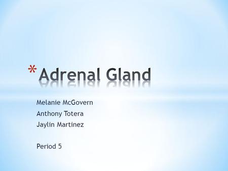 Melanie McGovern Anthony Totera Jaylin Martinez Period 5