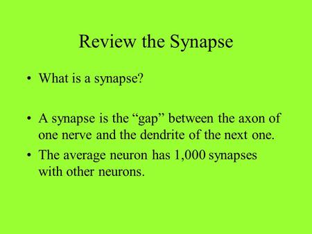 Review the Synapse What is a synapse? A synapse is the “gap” between the axon of one nerve and the dendrite of the next one. The average neuron has 1,000.