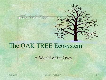 July 2000(c) Mr. P. R. Hanley1 The OAK TREE Ecosystem A World of its Own.