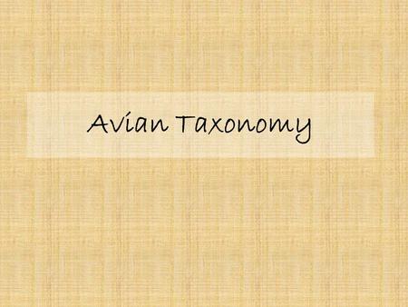 Avian Taxonomy. What is Taxonomy? Webster’s Dictionary defines taxonomy as the classification of plants and animals into established groups or categories.