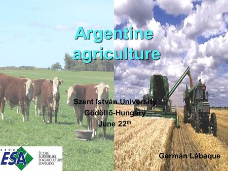 Argentine agriculture