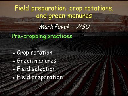 Field preparation, crop rotations, and green manures Mark Pavek - WSU Pre-cropping practices ●Crop rotation ●Green manures ●Field selection ●Field preparation.