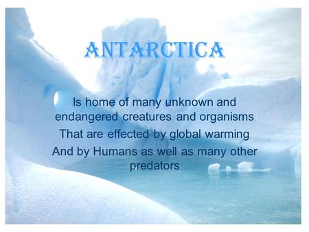 Antarctica Is home of many unknown and endangered creatures and organisms That are effected by global warming And by Humans as well as many other predators.