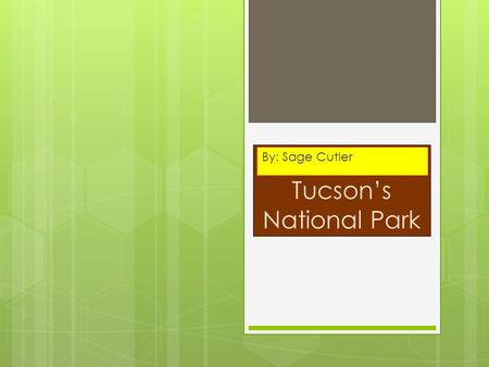 Tucson’s National Park By: Sage Cutler. Tucson & Saguaro National Park!