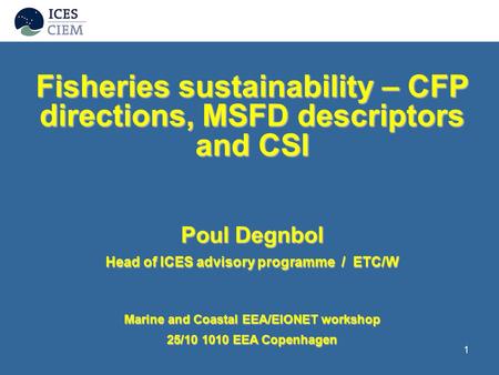 1 Fisheries sustainability – CFP directions, MSFD descriptors and CSI Poul Degnbol Head of ICES advisory programme / ETC/W Marine and Coastal EEA/EIONET.