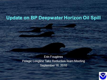 Update on BP Deepwater Horizon Oil Spill Erin Fougères Pelagic Longline Take Reduction Team Meeting September 16, 2010.