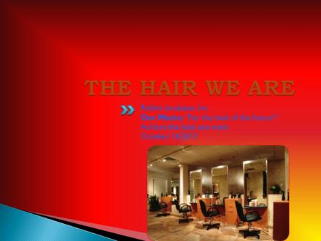 THE HAIR WE ARE Rollins Incubator, Inc.