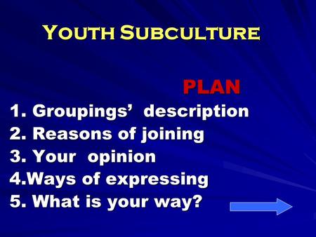 Youth Subculture PLAN PLAN 1. Groupings’ description 2. Reasons of joining 3. Your opinion 4.Ways of expressing 5. What is your way?