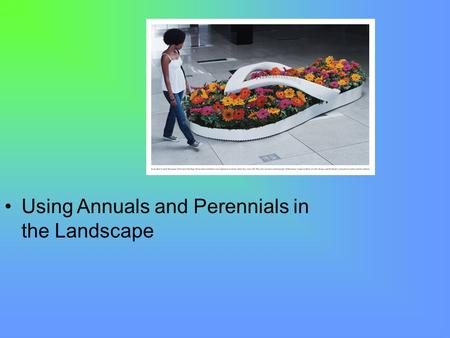 Using Annuals and Perennials in the Landscape. Next Generation Science / Common Core Standards Addressed! CCSS. Math. Content.HSN ‐ Q.A.1 Use units as.