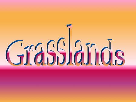 The Grasslands consist of two parts, the Savannas and the temperate Grasslands: The Temperate Grasslands used to be the largest biome but have since shrunk.