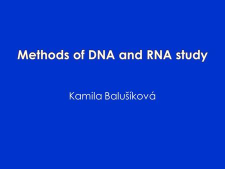 Kamila Balušíková.  DNA – sequence of genes, repetitive sequence of noncoding regions  RNA  Proteins gene expression.