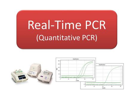 Real-Time PCR (Quantitative PCR)
