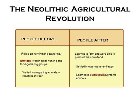 The Neolithic Agricultural Revolution