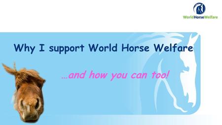 Why I support World Horse Welfare …and how you can too!