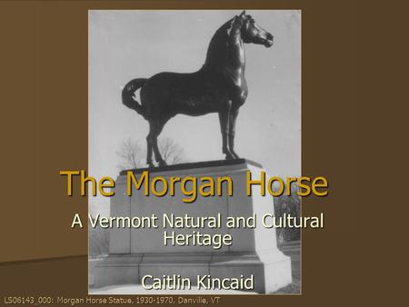 The Morgan Horse A Vermont Natural and Cultural Heritage Caitlin Kincaid LS06143_000: Morgan Horse Statue, 1930-1970, Danville, VT.