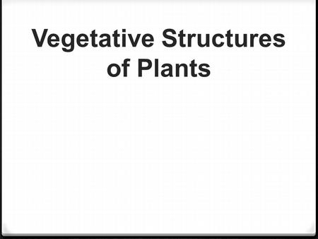 Vegetative Structures of Plants. leaves flower stem roots seed fruit Six Main Parts.