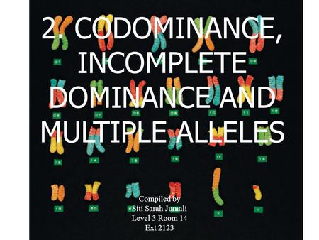 2. CODOMINANCE, INCOMPLETE DOMINANCE AND MULTIPLE ALLELES Compiled by Siti Sarah Jumali Level 3 Room 14 Ext 2123.
