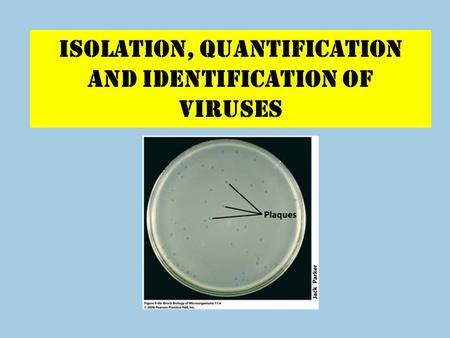 ISOLATION, QUANTIFICATION AND identification OF VIRUSES