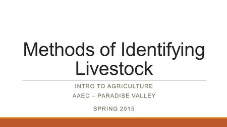 Methods of Identifying Livestock INTRO TO AGRICULTURE AAEC – PARADISE VALLEY SPRING 2015.