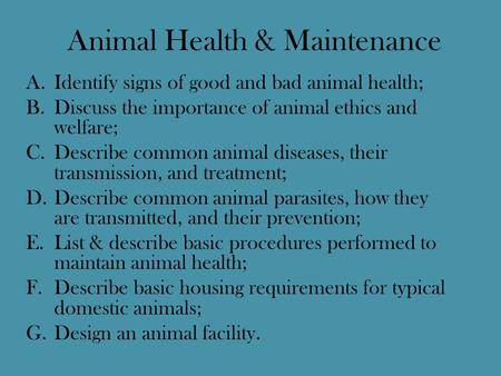Animal Health & Maintenance
