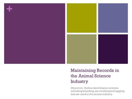+ Maintaining Records in the Animal Science Industry Objective: Define identification systems including branding, ear notching and tagging that are used.