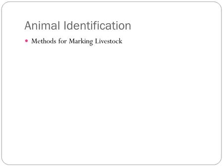Animal Identification